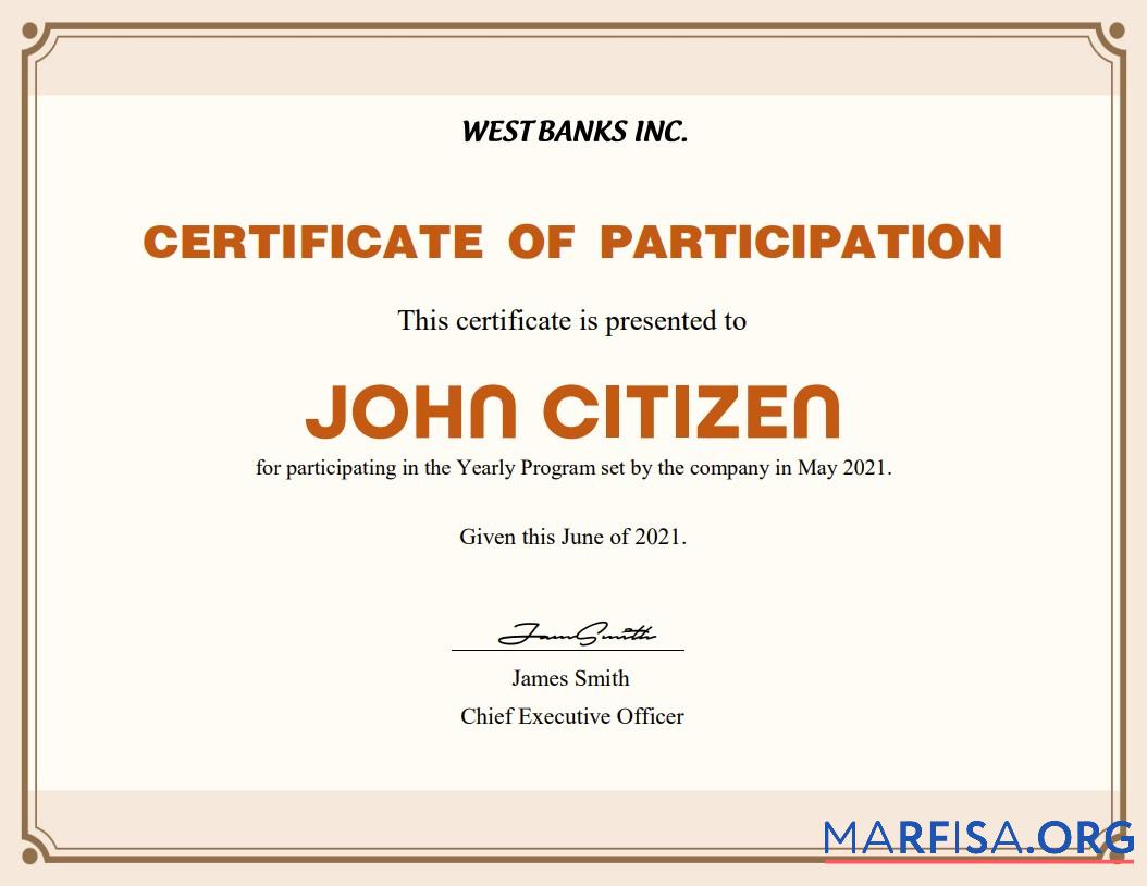 Blank USA Participation cert Version 2 example